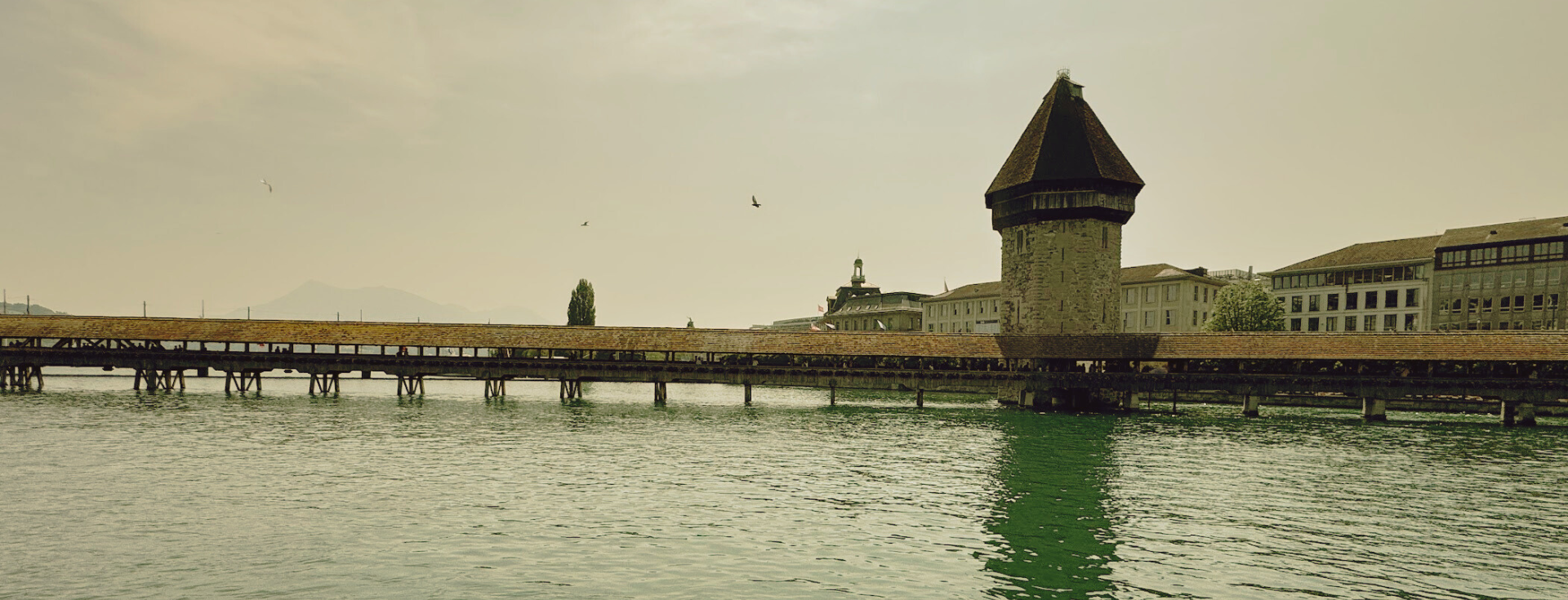 Lucerne